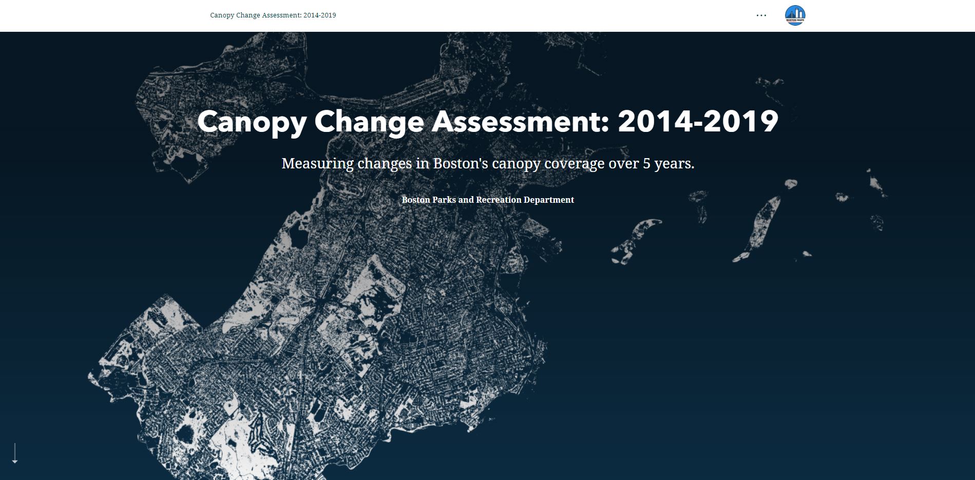 Canopy Change Assessment: 2014-2019